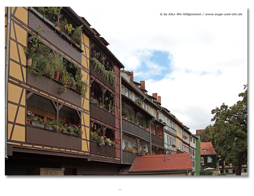 ErfurtKraemerbruecke260812b