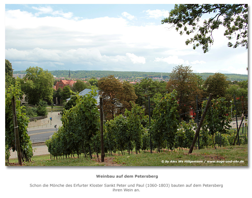 ErfurtAussicht260812