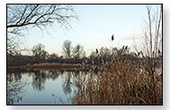 Rotter See