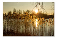 Rotter See
