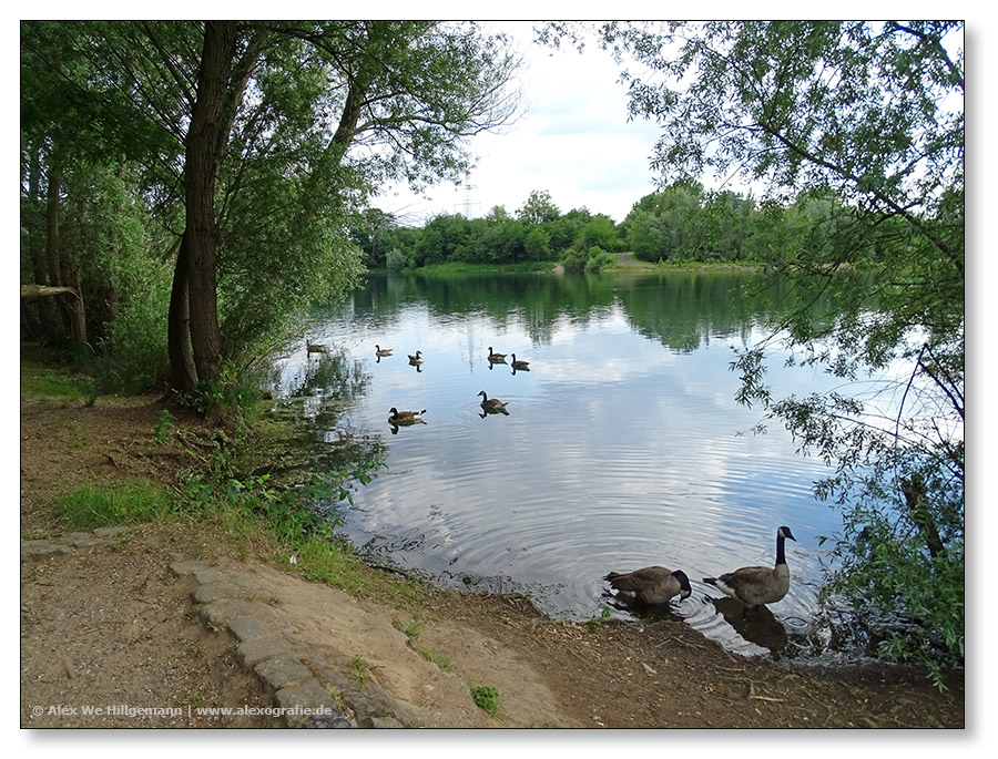 Rotter See Juni 2015