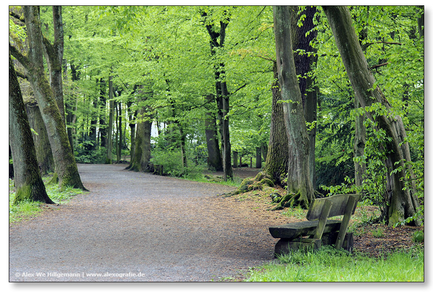 Troisdorf Waldpark