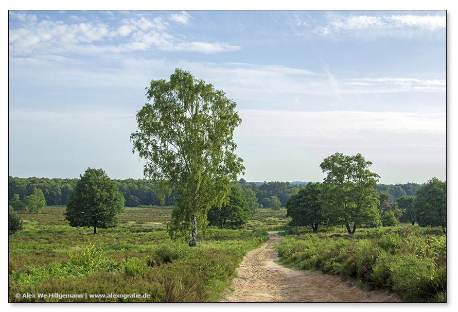 Wahner Heide